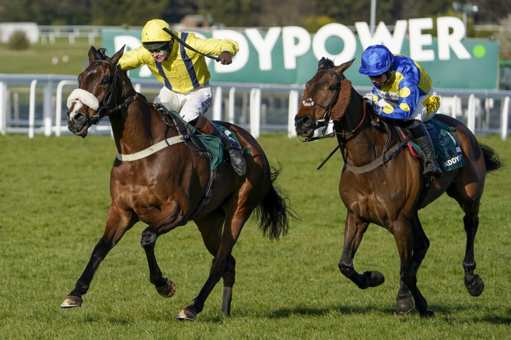 how to bet on horse racing at Paddy Power