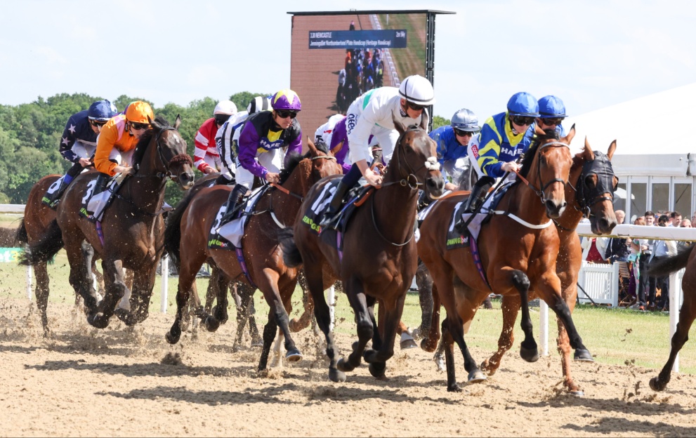 Horses racing in the Northumberland Plate at Newcastle