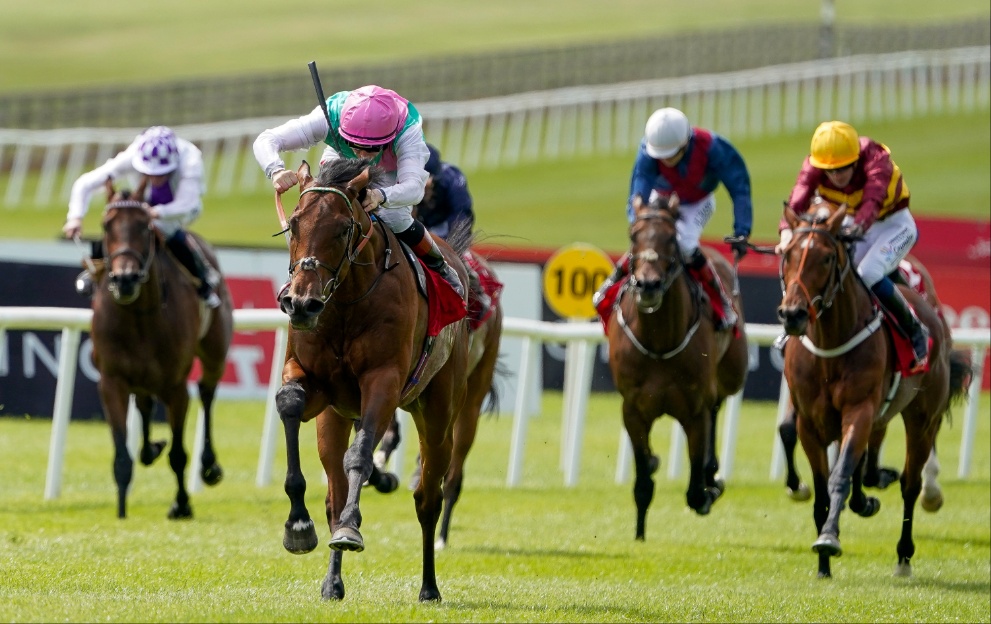 Westover wins the Irish Derby at the Curragh