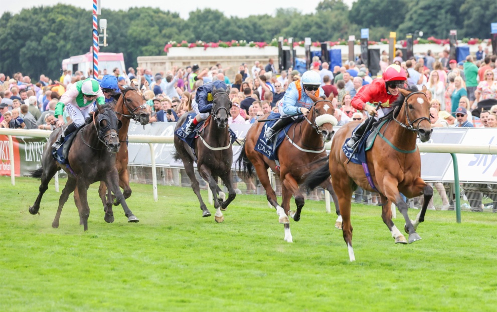 Highfield Princess wins the Nunthorpe Stakes