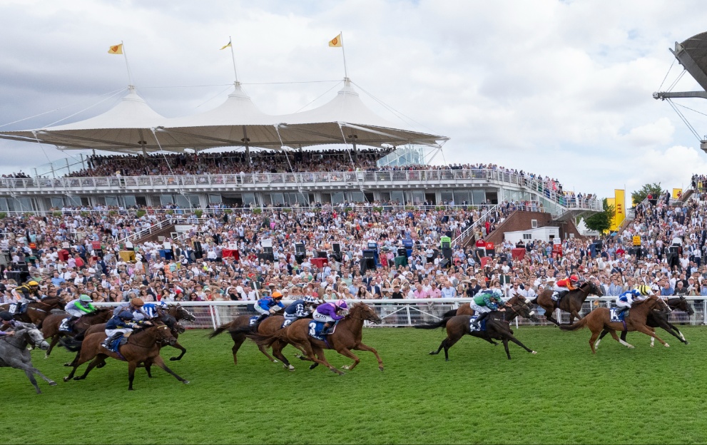 Horses run in the Stewards' Cup at Goodwood