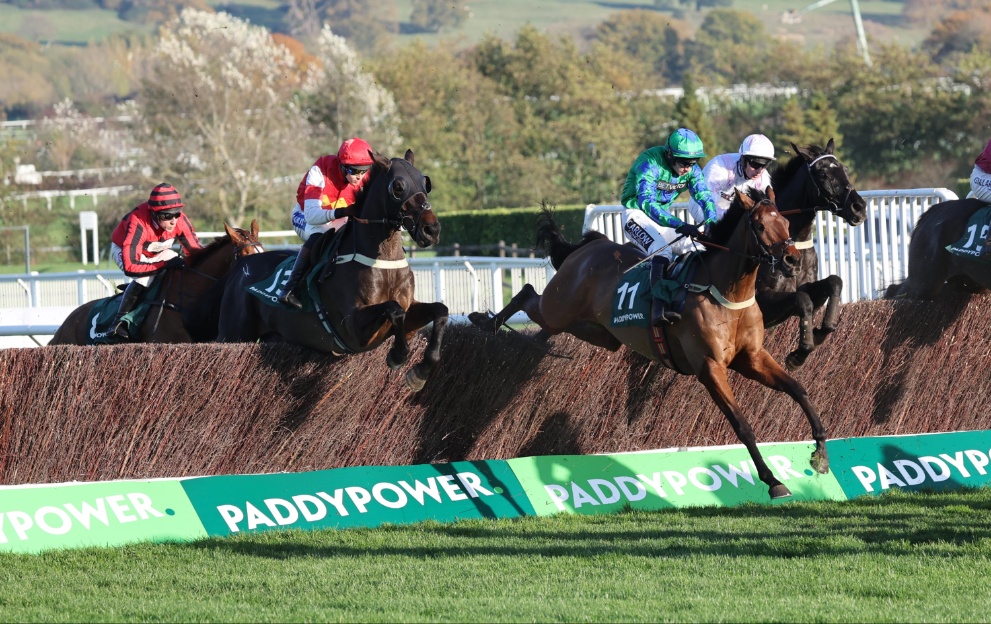 Horses jump a fence in the Paddy Power Gold Cup